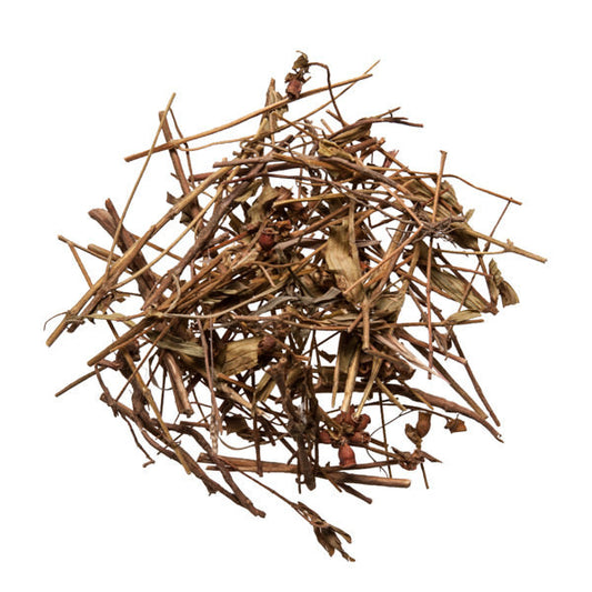 Tian Xiang Lu (Osbeckia)