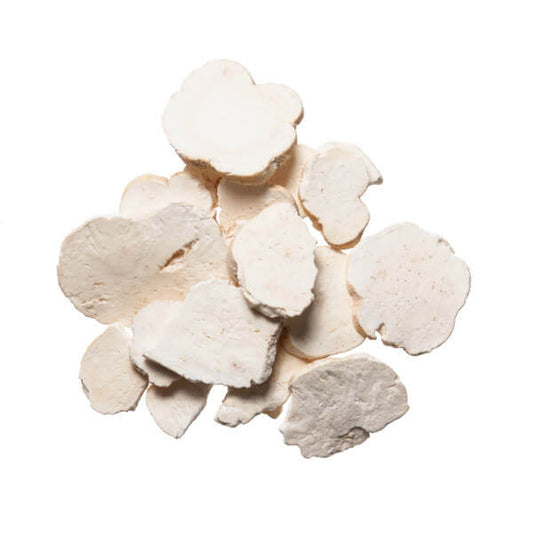 Tian Hua Fen (Trichosanthes Root)
