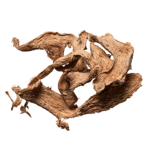 Shang Lu (Poke Root)