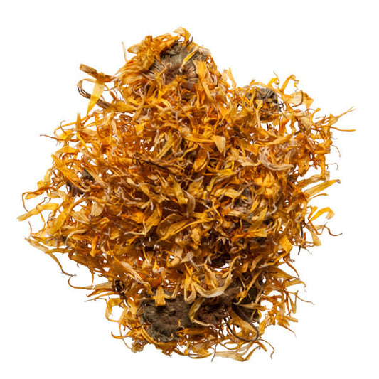 Calendula (Marigold flower)