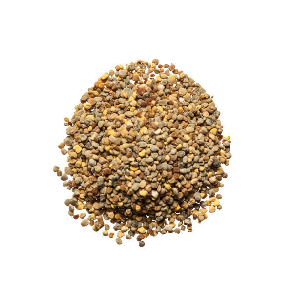 Bee Pollen - Herbs that enhance athletic performance - Plum Dragon Herbs