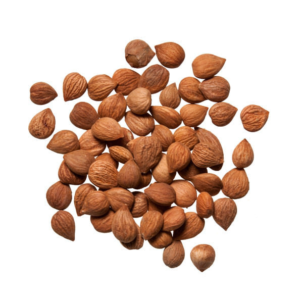 Xing Ren (Ku) (Apricot Seed)