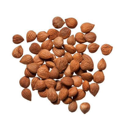 Xing Ren (Ku) (Apricot Seed)