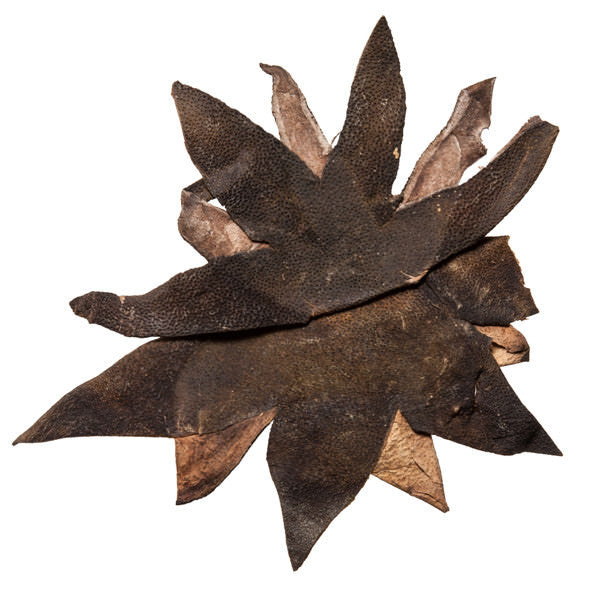 Ju Hong Pi (Tangerine Rind) - Wholesale Chinese Herbs Shop