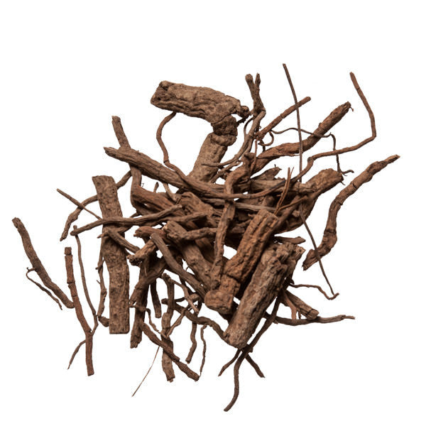 Hu Jiao Gen (Pepper Root) - TCM herbs for natural pain relief
