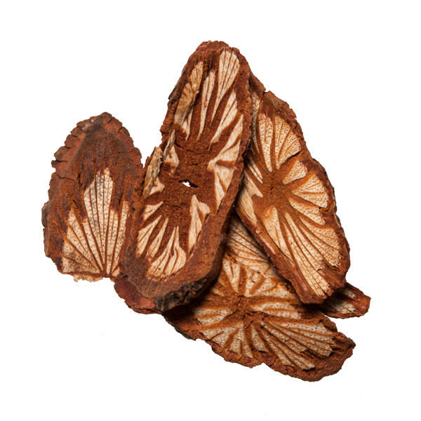 Hong Teng (Sargentodoxa Vine) - Buk Chinese Herbs Supplier - Plum Dragon 