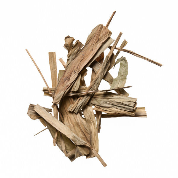 Dan Zhu Ye (Lophatherum) - TCM Herb for Acupuncture - Plum Dragon