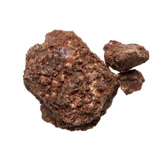 An Xi Xiang (Benzoin) - Chinese Herbs Store - Plum Dragon Herbs