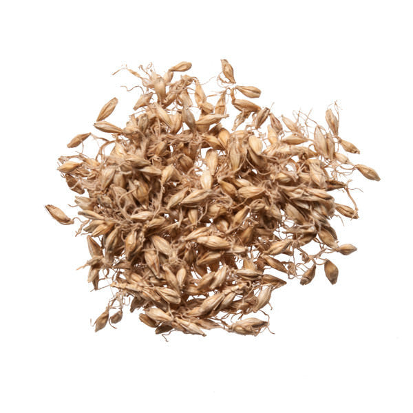 Mai Ya (Barley Sprouts) - Bulk Chinese Herbs for Acupuncture - Plum Dragon