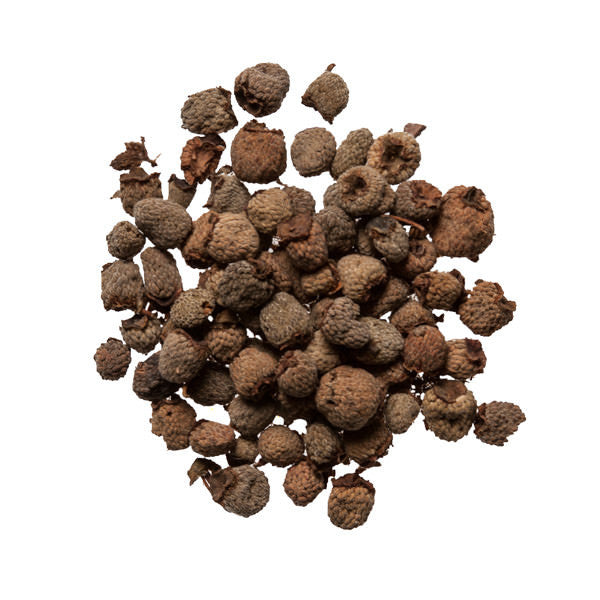 Fu Pen Zi (Raspberry) - High Quality Chinese Herbs for Acupuncture Supply