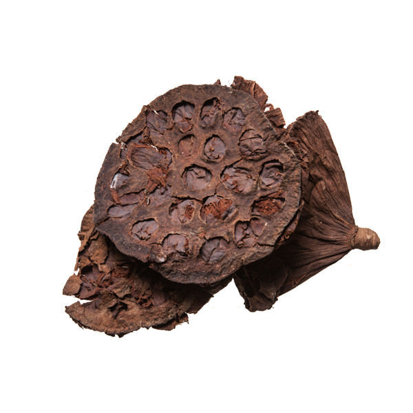 Lian Fang (Lotus Receptacle) - Chinese herb for liver health