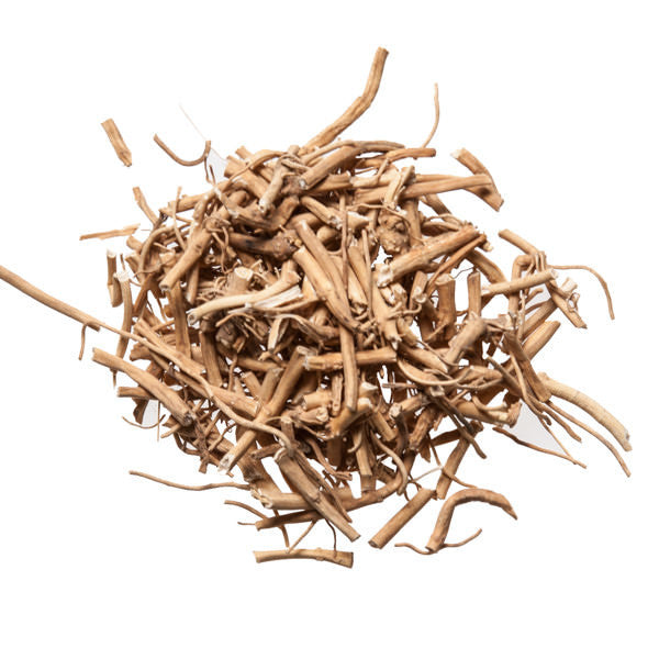 Bai Qian (Willowleaf Swallowwort) - Wholesale Chinese Medicinal Herbs