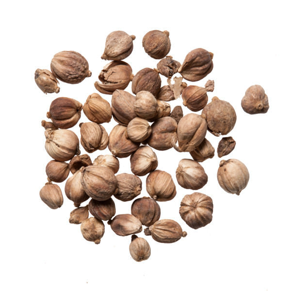 Bai Dou Kou (Amomi Rotundus) - Chinese Herbs and Dit Da Jow Shop