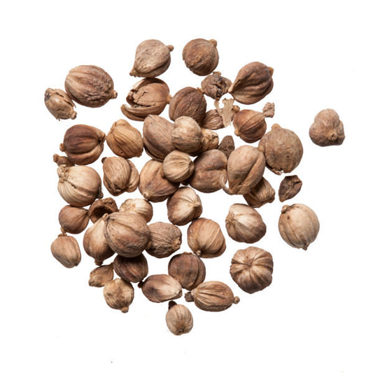 Bai Dou Kou (Amomi Rotundus) - Chinese Herbs and Dit Da Jow Shop