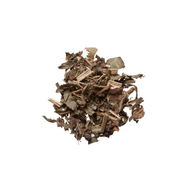 Da Ji (Cirsium Japonicum, Japanese Thistle) - Chinese Herbs Store 