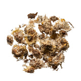 Ju Hua (Chrysanthemum Flower) - Chinese Herbal Tea - Plum Dragon Herbs