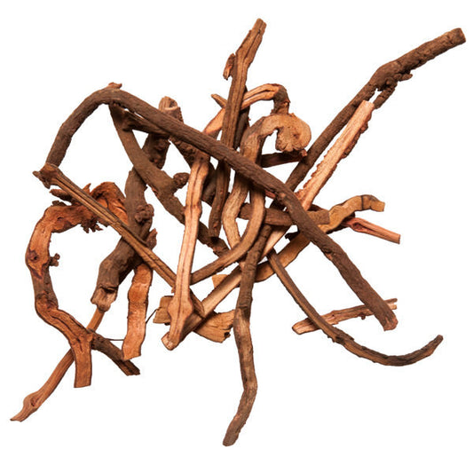 Qian Cao Gen (Madder Root)