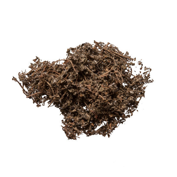 E Bu Shi Cao (Centipeda) - Bulk Herbs Shop - Plum Dragon Herbs