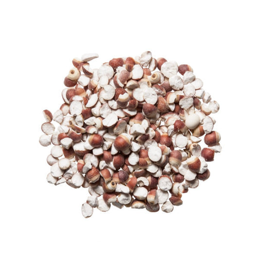 Qian Shi (Euryale Seed)