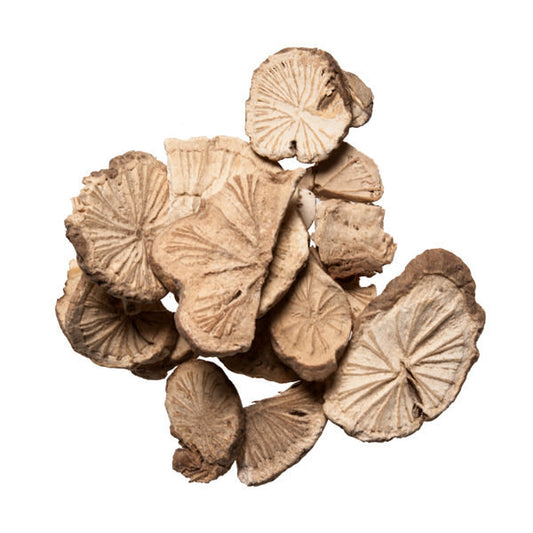 Fang Ji Fen (Stephania Root) - Medicinal Chinese Herb for TCM - Plum Dragon