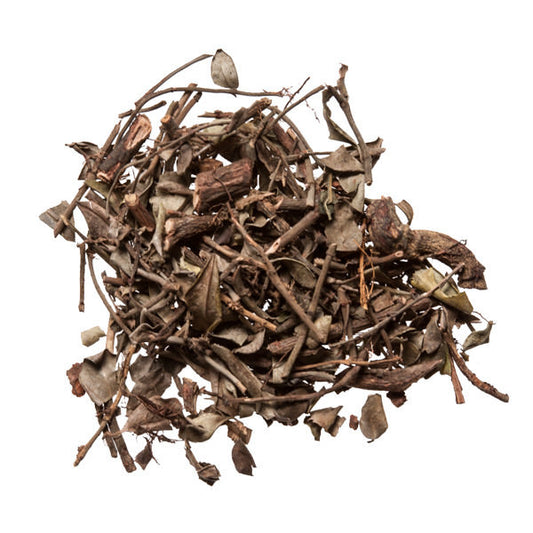 Luo Shi Teng (Star Jasmine Vine) Trachelospermum Jasminoides - Herb shop