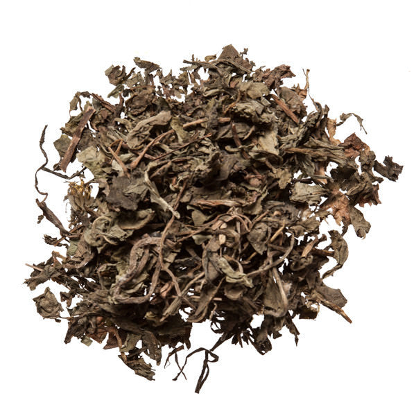 Pu Gong Ying (Dandelion) – Plum Dragon Herbs