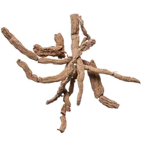 Ba Ji Tian (Morinda) - Medicinal Chinese Herbs Supplier - Plum Dragon Herbs