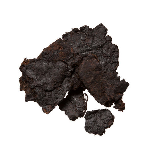 Huang Jing (Polygonatum Root, Solomon's Seal) - Medicinal Chinese Herb