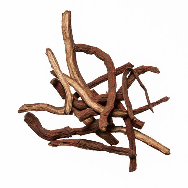 Dan Shen (Salvia Root) - Best Chinese Herbal Remedies - Plum Dragon Herbs