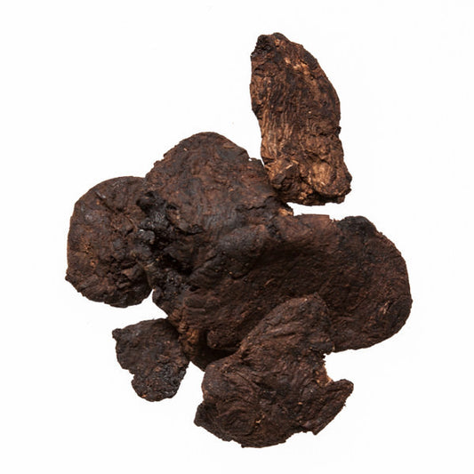 Di Huang (Sheng) (Rehmannia Root) - High quality Chinese Herbs