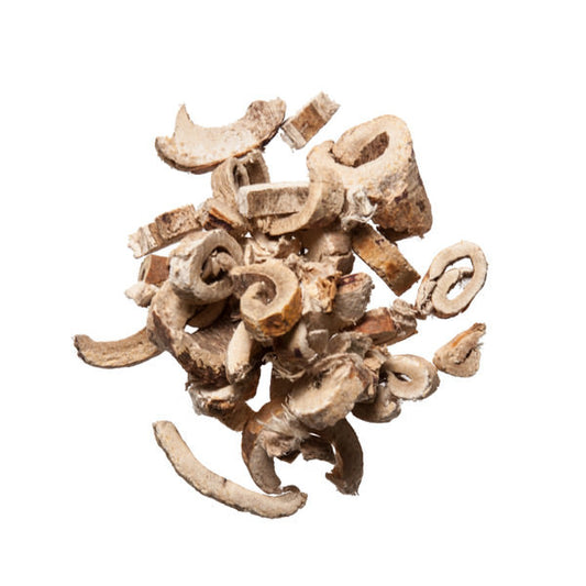 Sang Bai Pi (Mulberry Bark)