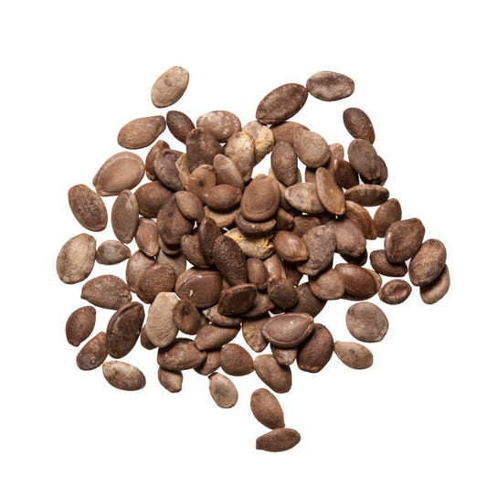 Gua Lou Ren (Tricosanthes Seed) - Bulk Chinese Herbs for Acupuncture