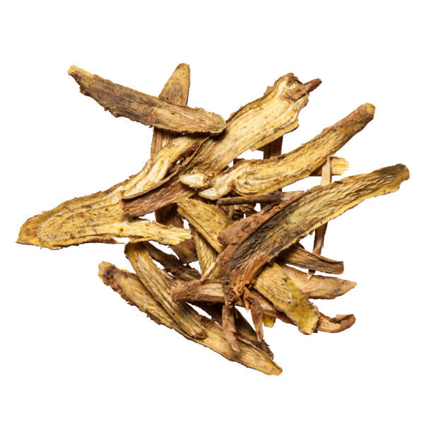 Huang Qin (Skullcap Root) - Bulk Chinese Herb Supplier - Plum Dragon