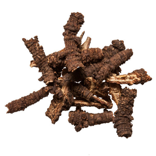 Qiang Huo Notopterygium Root bulk Chinese herb from Plum Dragon Herbs
