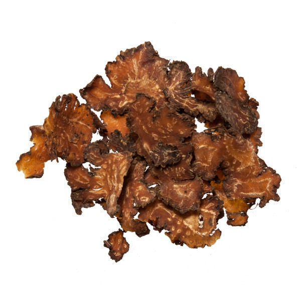 Chuan Xiong (Cnidium, Sichuan Lovage) - Herb for dit da jow - Plum Dragon