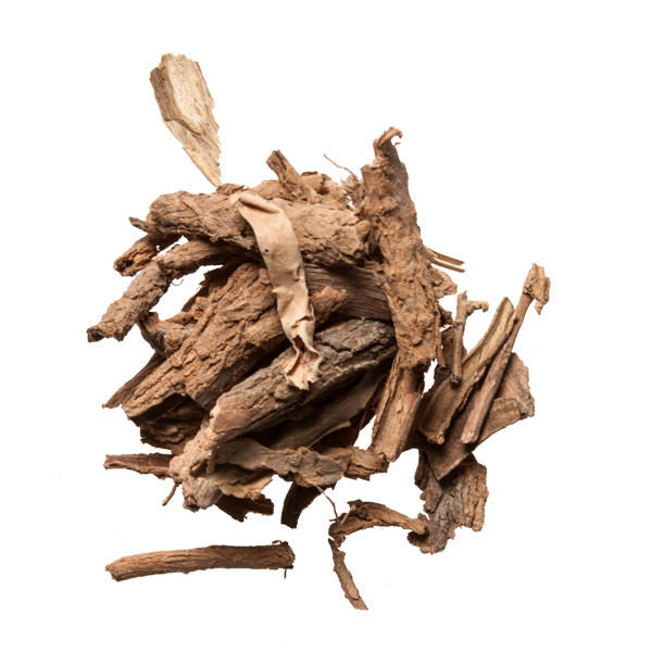 Di Gu Pi (Lycium Root) - Wholesale Chinese Herb Store - Plum Dragon Herbs