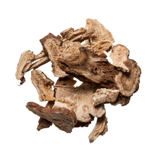 Bai Zhu (White Atractylodes) - Chinese Medicinal Herbs for Acupuncture