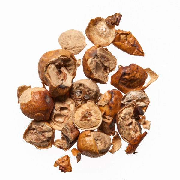 Chuan Lian Zi (Melia, Chinaberry Fruit) - Chinese Herbal Remedies