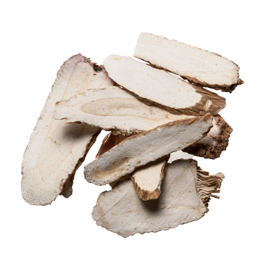 Bai Zhi (Angelica Dahurica) - Chinese Herb to Improve Lung Function