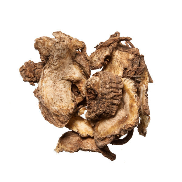 Du Huo (Pubescent Angelica Root) - Chinese Herbs and Dit Da Jow 