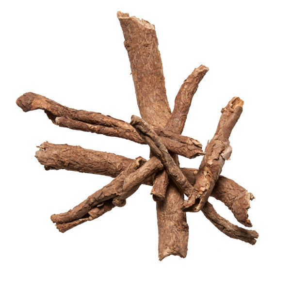 Wu Jia Pi (Acanthopanax Root Bark)
