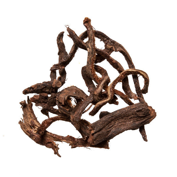 Gu Sui Bu (Drynaria) - Chinese Herb for Acupuncture and Dit Da Jow