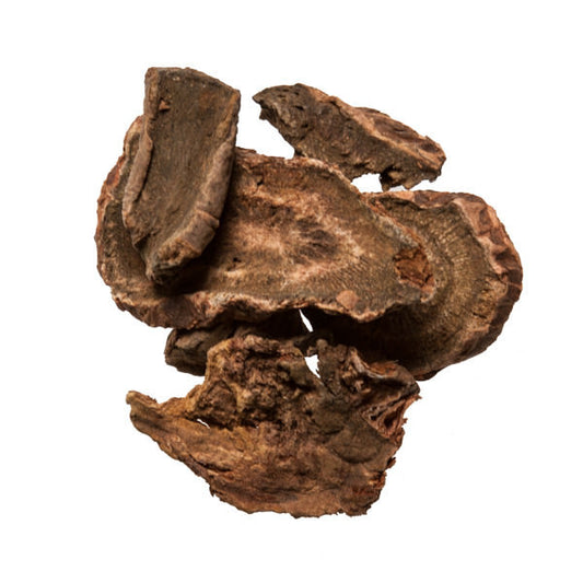 Da Huang (Rhubarb Root) - Bulk Chinese Herbs Supplier - Plum Dragon Herbs