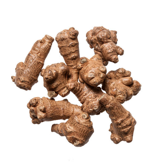 San Qi - Tian Qi (Pseudoginseng Root)