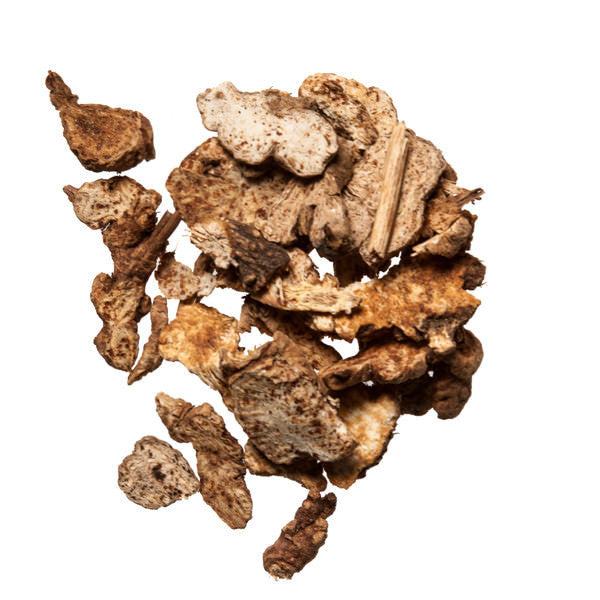 Cang Zhu (Atractylodes) - Quality Chinese Herbs for Acupuncture and TCM