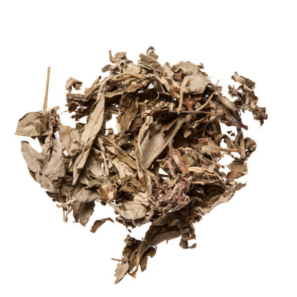 Ai Ye (Artemisia Mugwort) - Wholesale Chinese Herbs - Plum Dragon Herbs